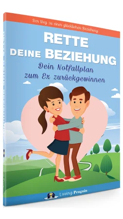 Rette deine Beziehung - Dein Notfallplan zum Ex zurückgewinnen