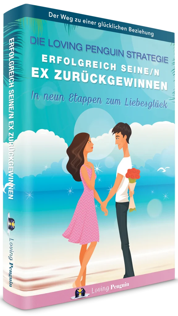 Erfolgreich seine/n Ex zurückgewinnen